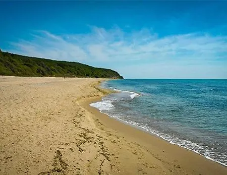 2 Zimmerwohnung Appartement