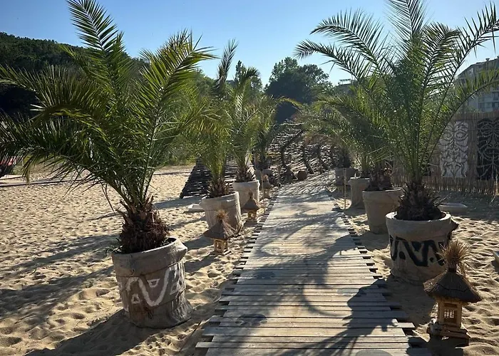 Apartamento 2 Zimmerwohnung